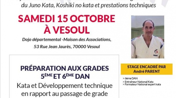 Plateforme grade 5ème et 6ème Dan à Vesoul le 15 octobre 2022